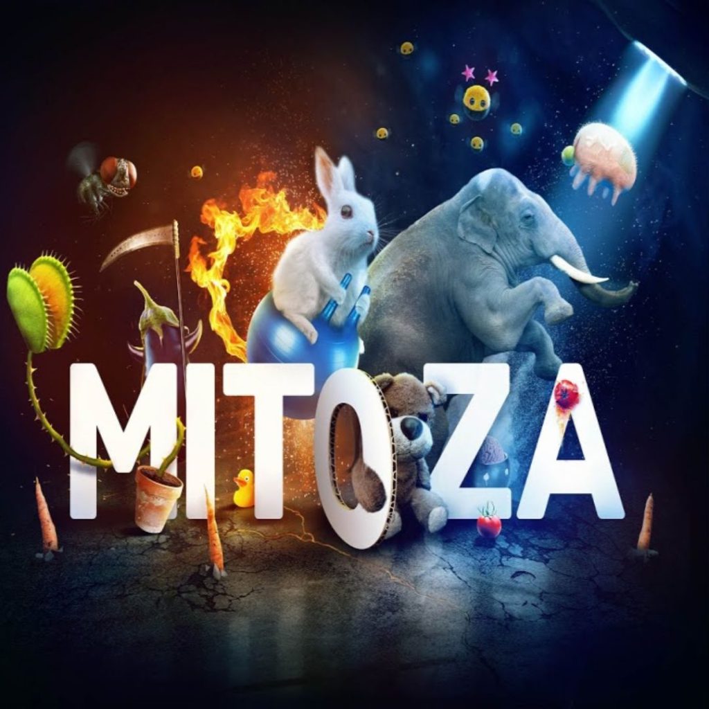 Mitoza-Poster